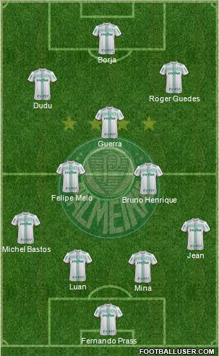 SE Palmeiras Formation 2017