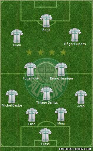 SE Palmeiras Formation 2017