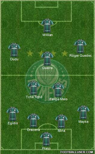 SE Palmeiras Formation 2017