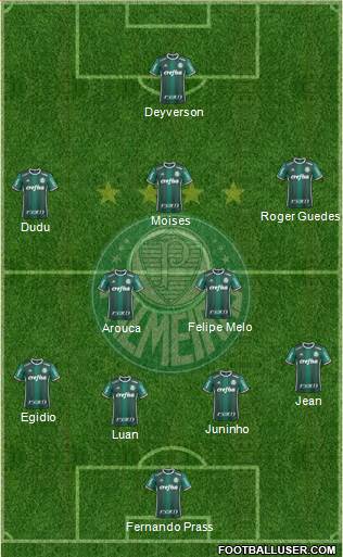 SE Palmeiras Formation 2017