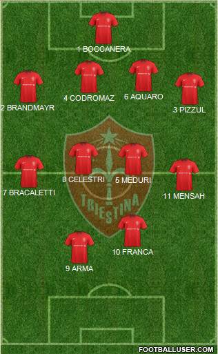 Triestina Formation 2017