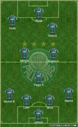 SE Palmeiras Formation 2017