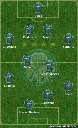 SE Palmeiras Formation 2017