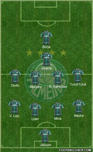 SE Palmeiras Formation 2017