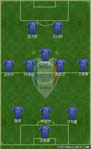 Suwon Samsung Blue Wings Formation 2017