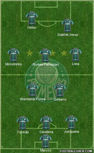 SE Palmeiras Formation 2017