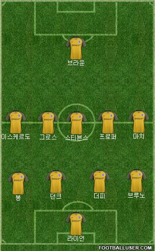 Brighton and Hove Albion Formation 2017