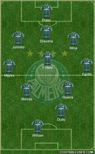 SE Palmeiras Formation 2017