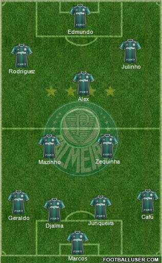 SE Palmeiras Formation 2017