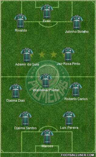 SE Palmeiras Formation 2017