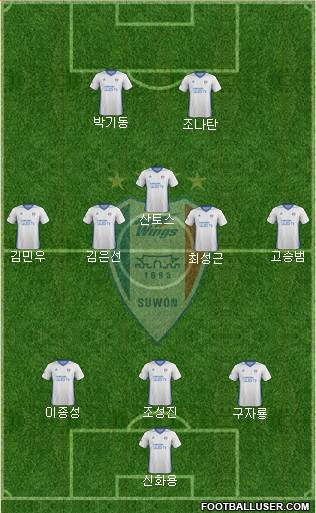 Suwon Samsung Blue Wings Formation 2017