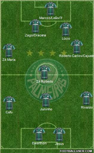 SE Palmeiras Formation 2017