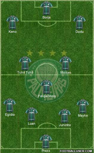 SE Palmeiras Formation 2017