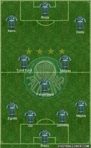 SE Palmeiras Formation 2017