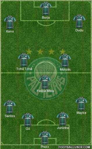 SE Palmeiras Formation 2017