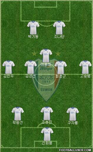 Suwon Samsung Blue Wings Formation 2017