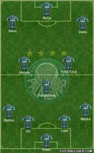 SE Palmeiras Formation 2017