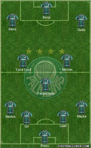 SE Palmeiras Formation 2017