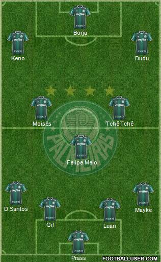 SE Palmeiras Formation 2017