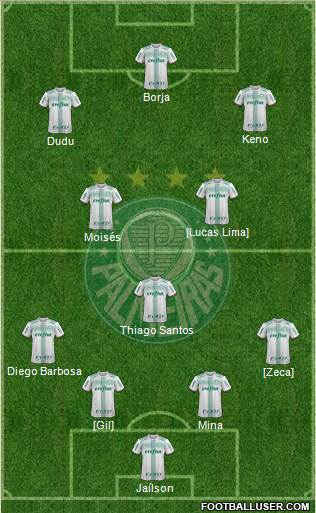 SE Palmeiras Formation 2017