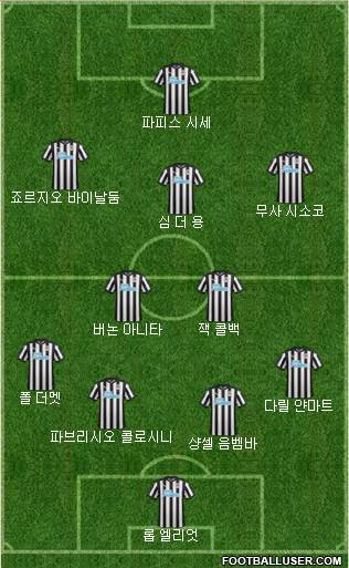 Newcastle United Formation 2017