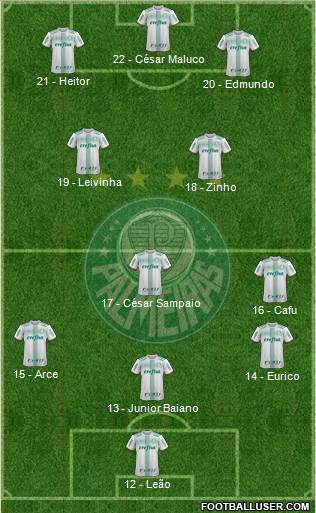 SE Palmeiras Formation 2017