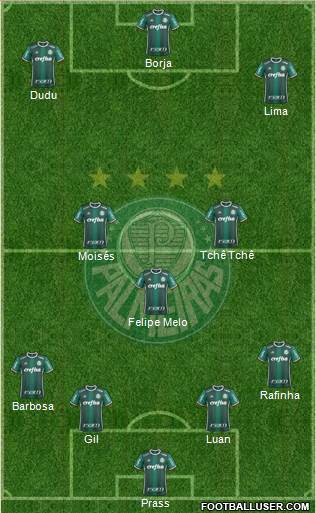 SE Palmeiras Formation 2017