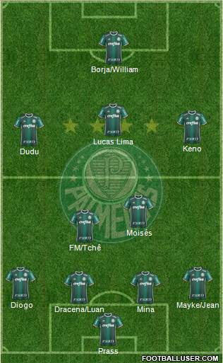 SE Palmeiras Formation 2017