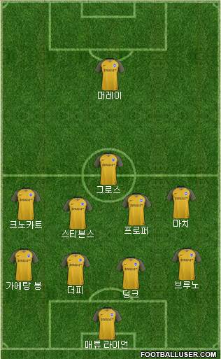 Brighton and Hove Albion Formation 2017