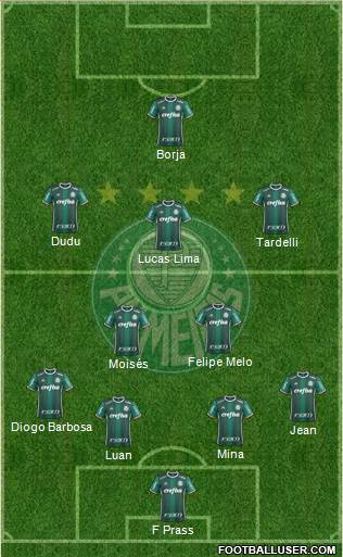 SE Palmeiras Formation 2017