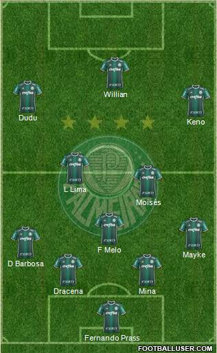 SE Palmeiras Formation 2017