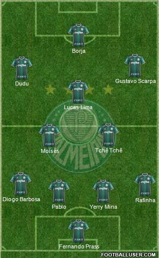 SE Palmeiras Formation 2017