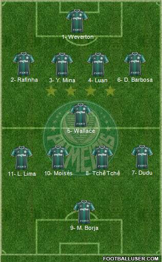 SE Palmeiras Formation 2017