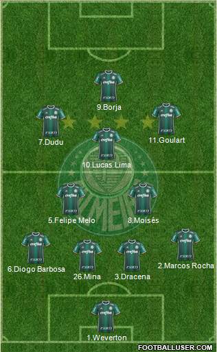 SE Palmeiras Formation 2017