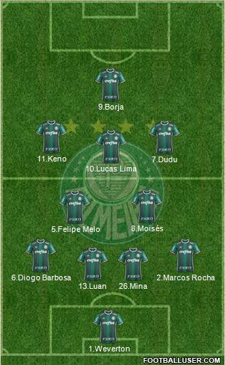 SE Palmeiras Formation 2017