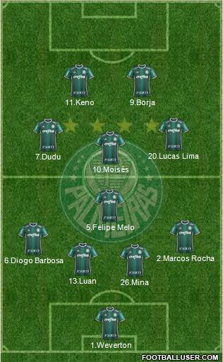 SE Palmeiras Formation 2018