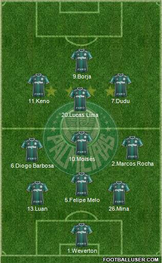 SE Palmeiras Formation 2018