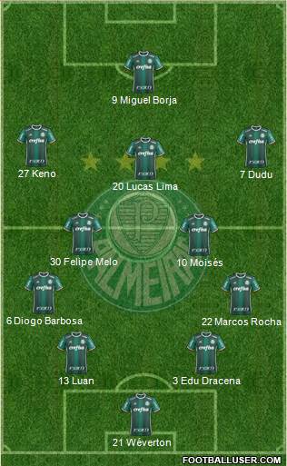 SE Palmeiras Formation 2018