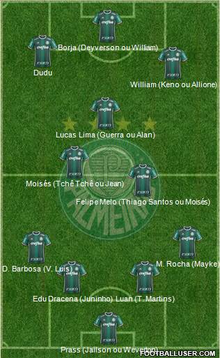 SE Palmeiras Formation 2018