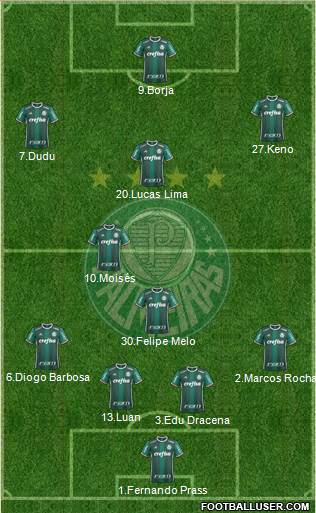 SE Palmeiras Formation 2018