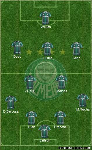 SE Palmeiras Formation 2018