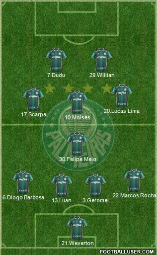 SE Palmeiras Formation 2018