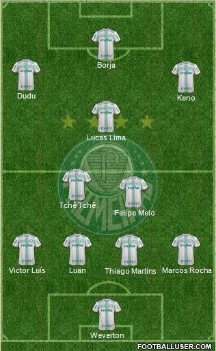 SE Palmeiras Formation 2018