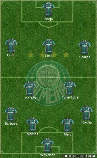 SE Palmeiras Formation 2018