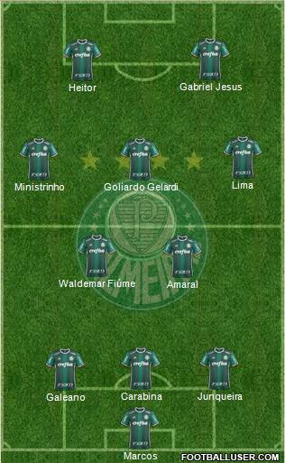 SE Palmeiras Formation 2018