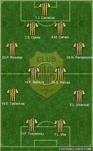 Olimpo de Bahía Blanca Formation 2018