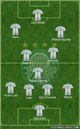 SE Palmeiras Formation 2018