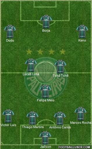 SE Palmeiras Formation 2018