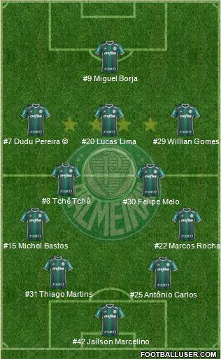 SE Palmeiras Formation 2018