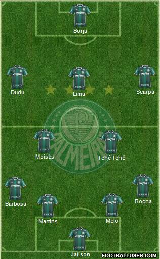 SE Palmeiras Formation 2018